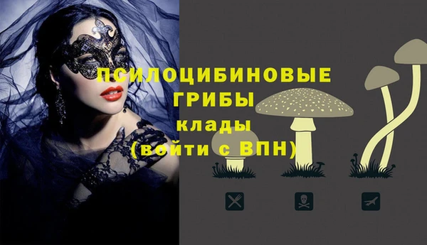 ГАЛЛЮЦИНОГЕННЫЕ ГРИБЫ Сясьстрой