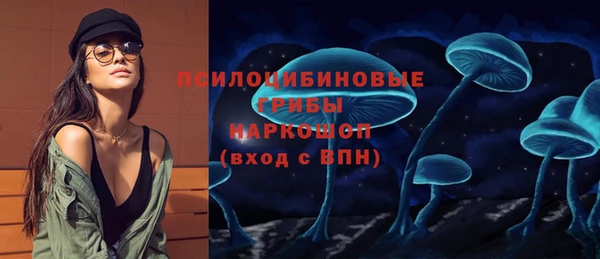 твердый Аркадак