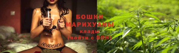амф Арсеньев