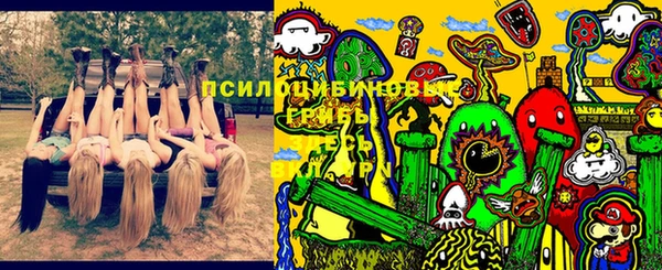 гидропоника Армянск