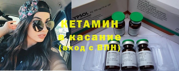 твердый Аркадак